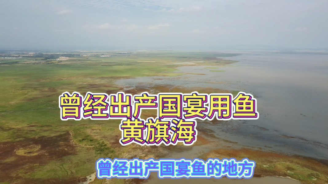 内蒙古乌兰察布市前旗，黄旗海，曾经出产国宴用鱼地方,无人机视角什么样