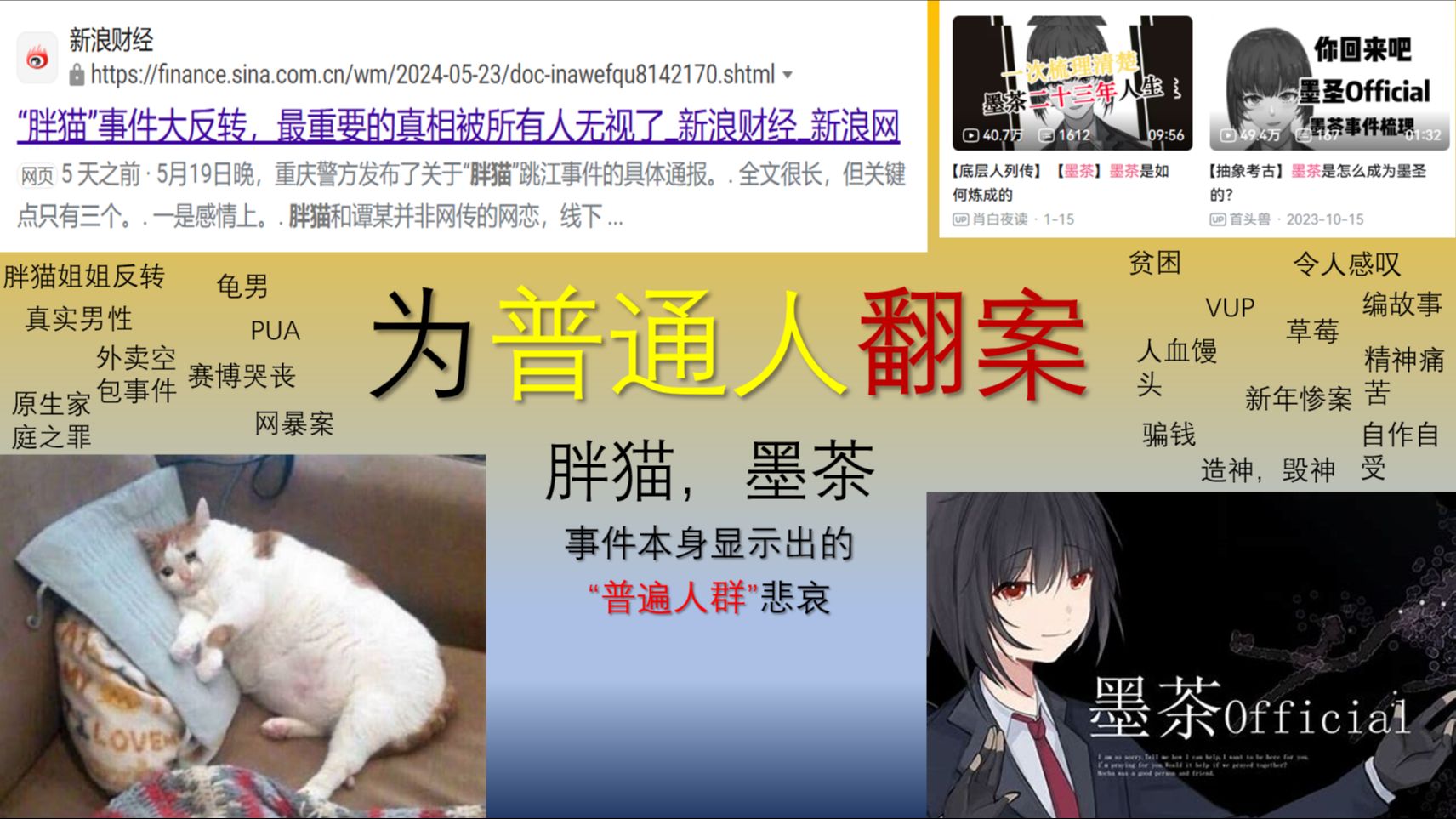 为普通人翻案-事件本身显示出的普遍人群悲哀丨胖猫墨