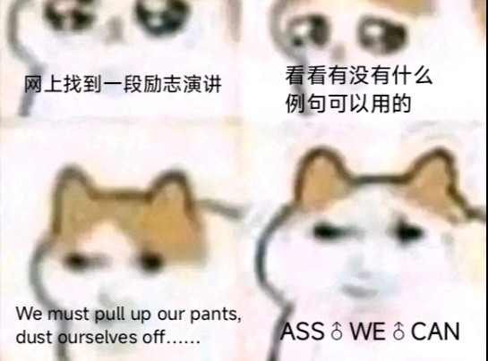 [图]并没有很大众化的猫猫穿越(?)meme图合集plus