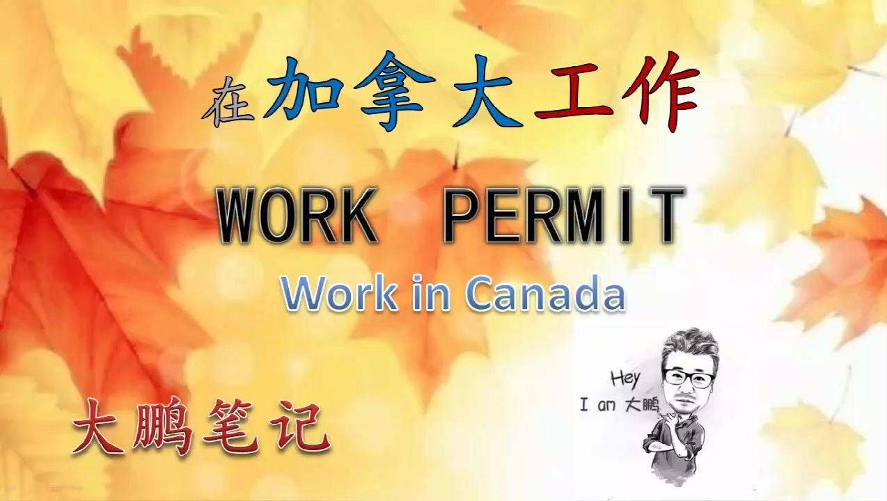 加拿大工作签证详解(完整版)l Canada work permit(完整版)哔哩哔哩bilibili