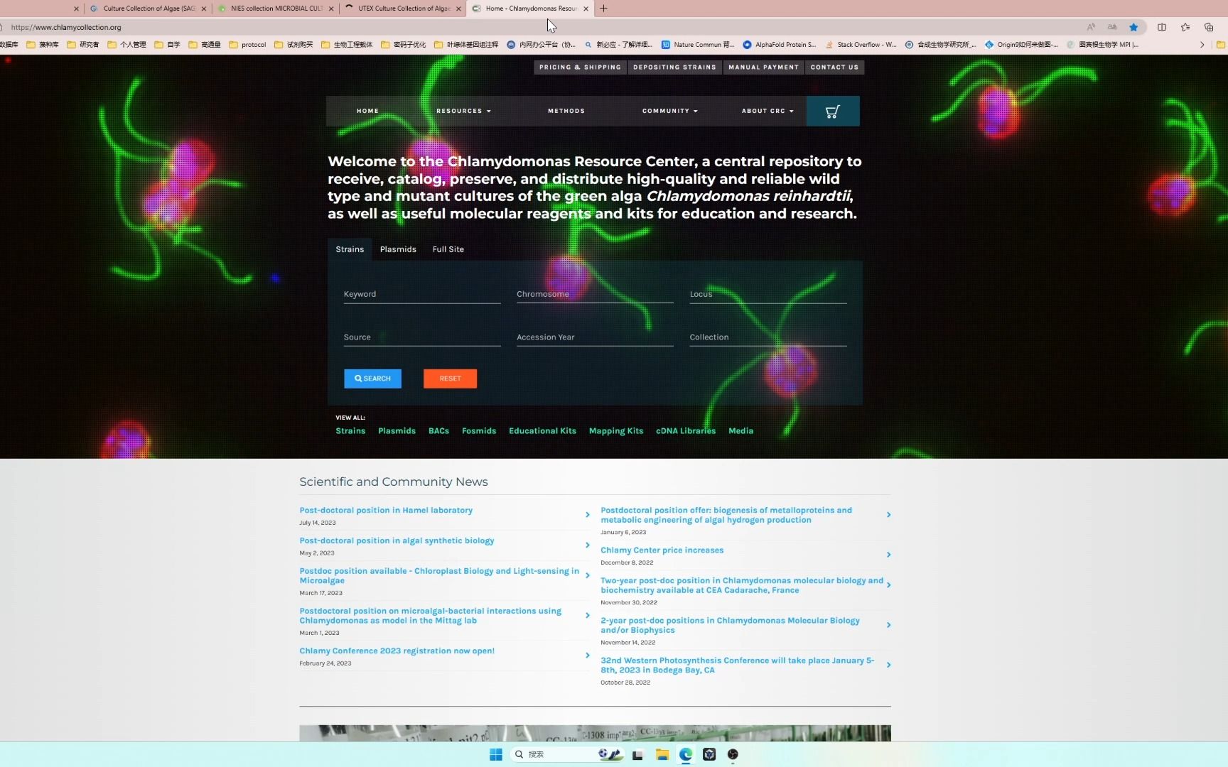 【微藻实验手册】附录1 微藻藻种库在线网站推荐哔哩哔哩bilibili