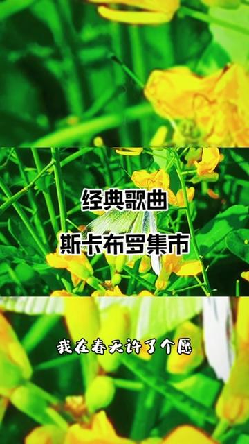 我在春天许了个愿歌曲图片