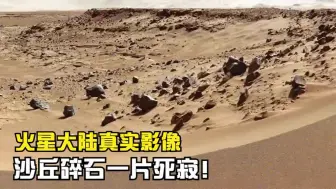 Download Video: 近距离看真实的火星大陆，满是碎石和沙丘，一片死寂！