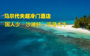 Download Video: 马尔代夫超级冷门岛，猫途鹰高评分酒店，沙滩好，浮潜大牛，蜜莉喜岛