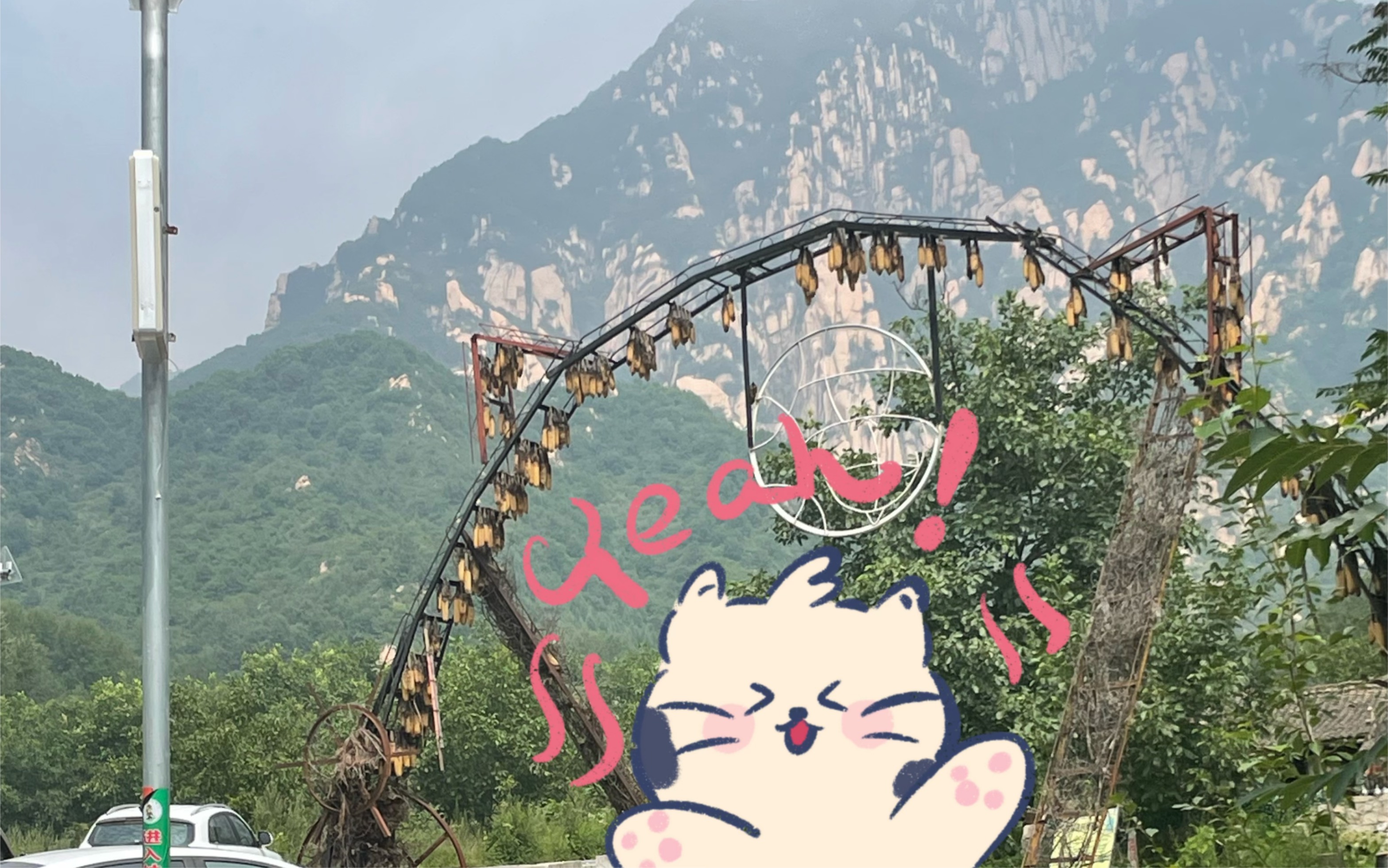 探秘藏在大山里的猫猫村!哔哩哔哩bilibili