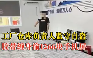 Скачать видео: 员工监守自盗1266块手机屏还赌债：胶带缠身带出，将其转卖获利