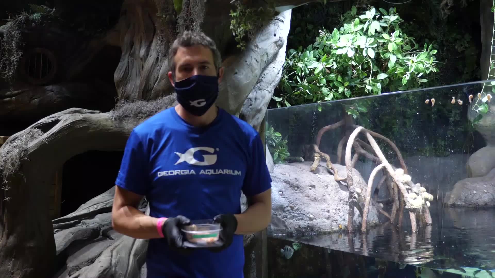 【搬运】乔治亚水族馆汽水缸喂食