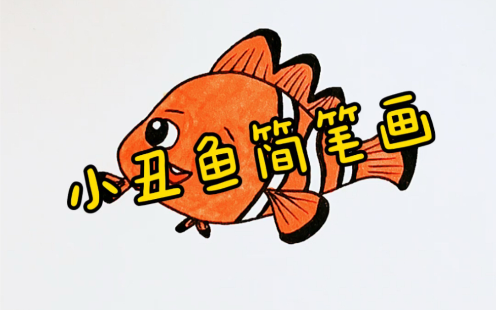 【簡筆畫】可愛小丑魚