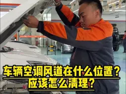 Télécharger la video: 车辆空调风道在什么位置？如何清理？