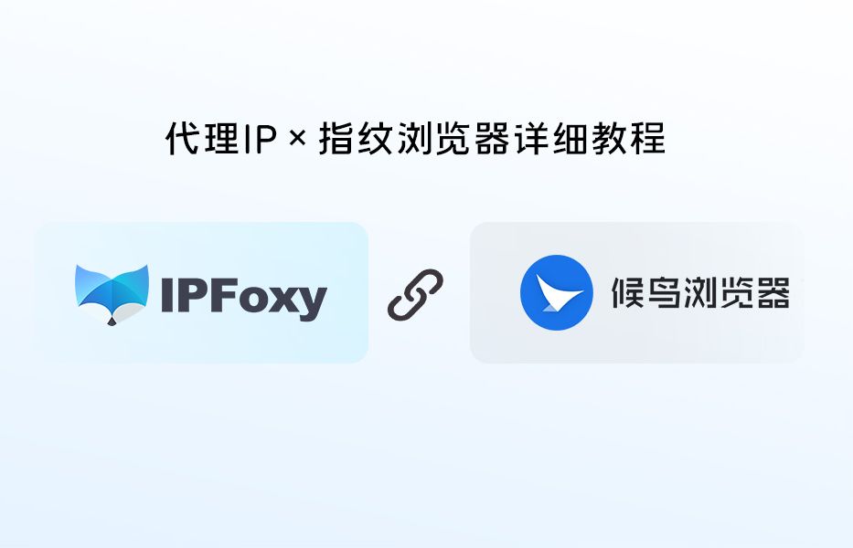 【IPFoxy代理】如何在候鸟浏览器中配置IPFoxy代理IP?哔哩哔哩bilibili