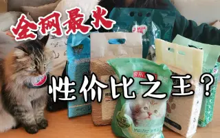 猫砂 搜索结果 哔哩哔哩 Bilibili