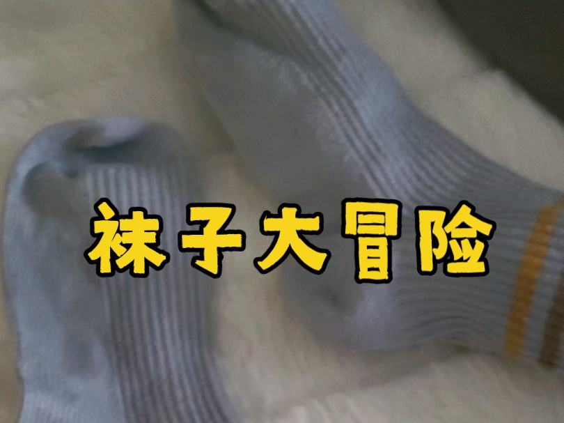 蓝色长袜子大冒险