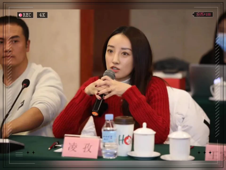 凌孜出演会议发表