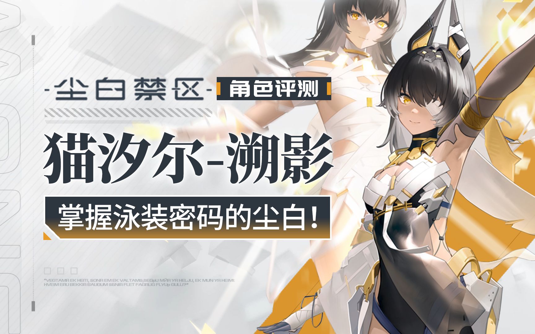 泳装猫猫,全能辅助!