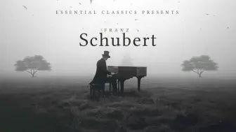 Download Video: 醉佳古典音乐！浪漫主义抒情大师舒伯特，引人入胜的经典选集！Best of Schubert