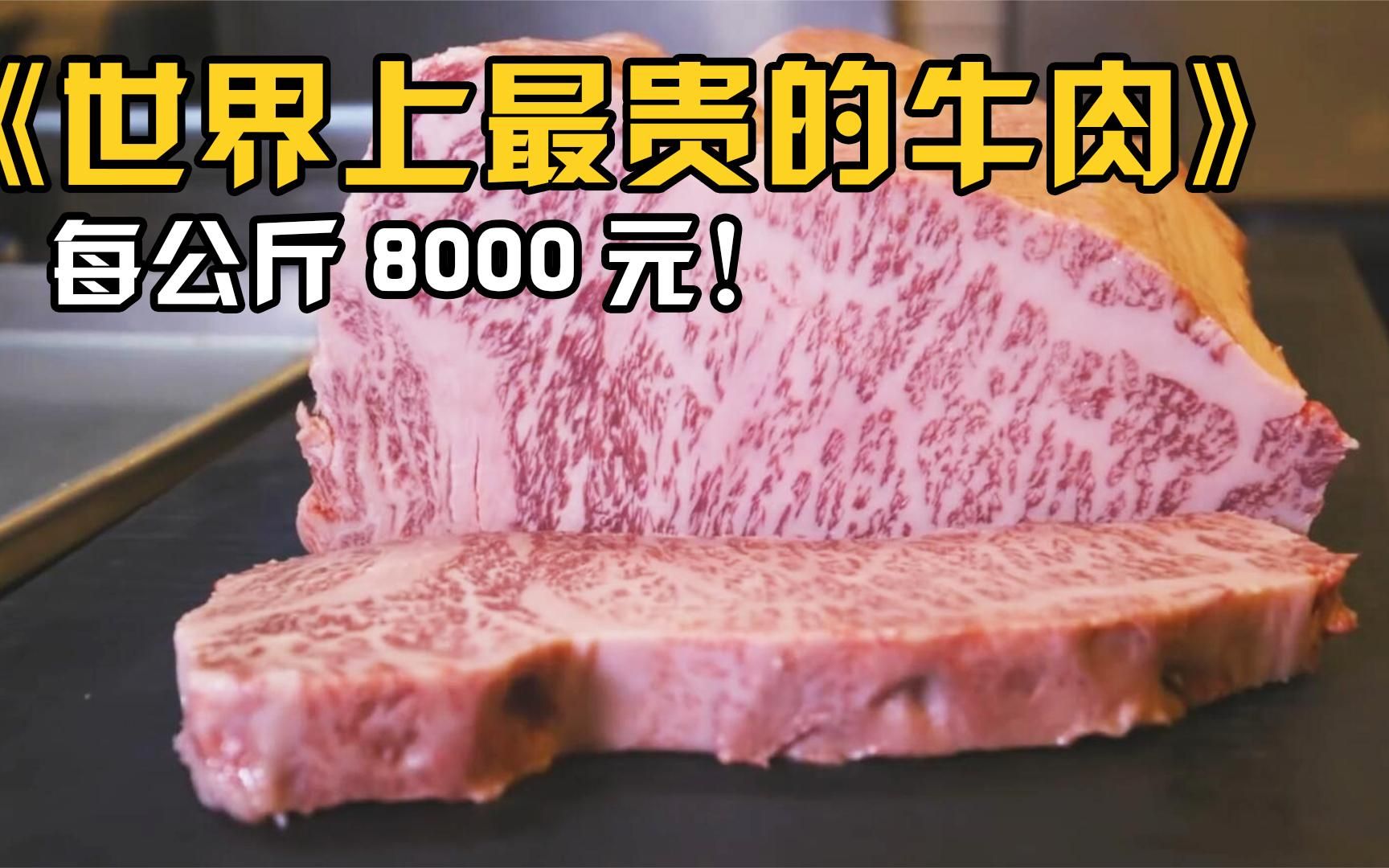 世界上最贵的牛肉!每公斤8000元!你吃过吗?哔哩哔哩bilibili