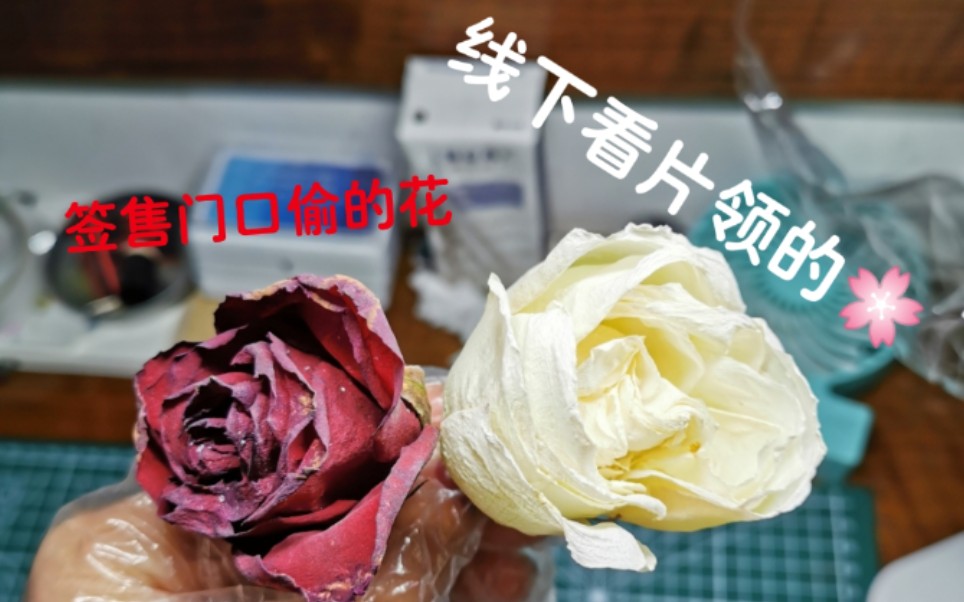 【干花制作】万能人干花教程!出动!!一起来学哔哩哔哩bilibili