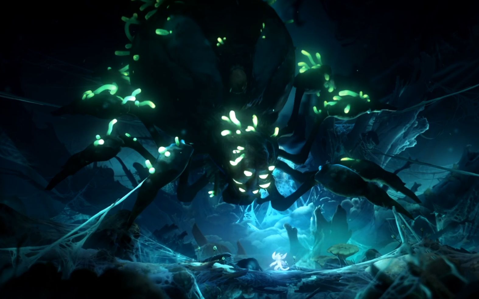 奥日2-蜘蛛boss 大逃杀