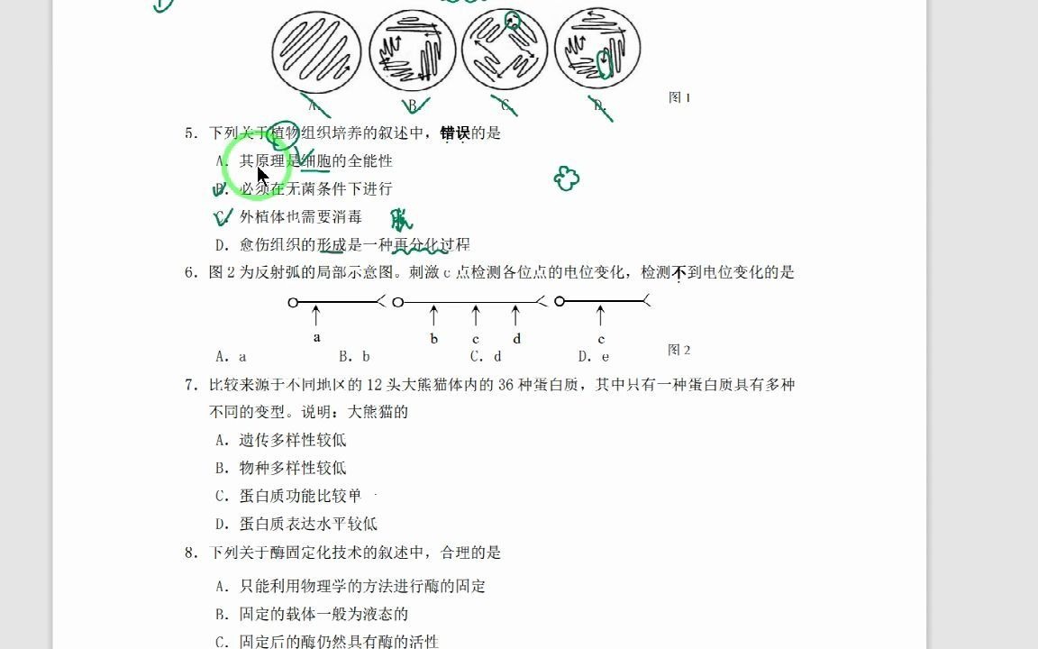 中秋快乐生物练习卷讲解视频主讲人:上官&周雨晨哔哩哔哩bilibili