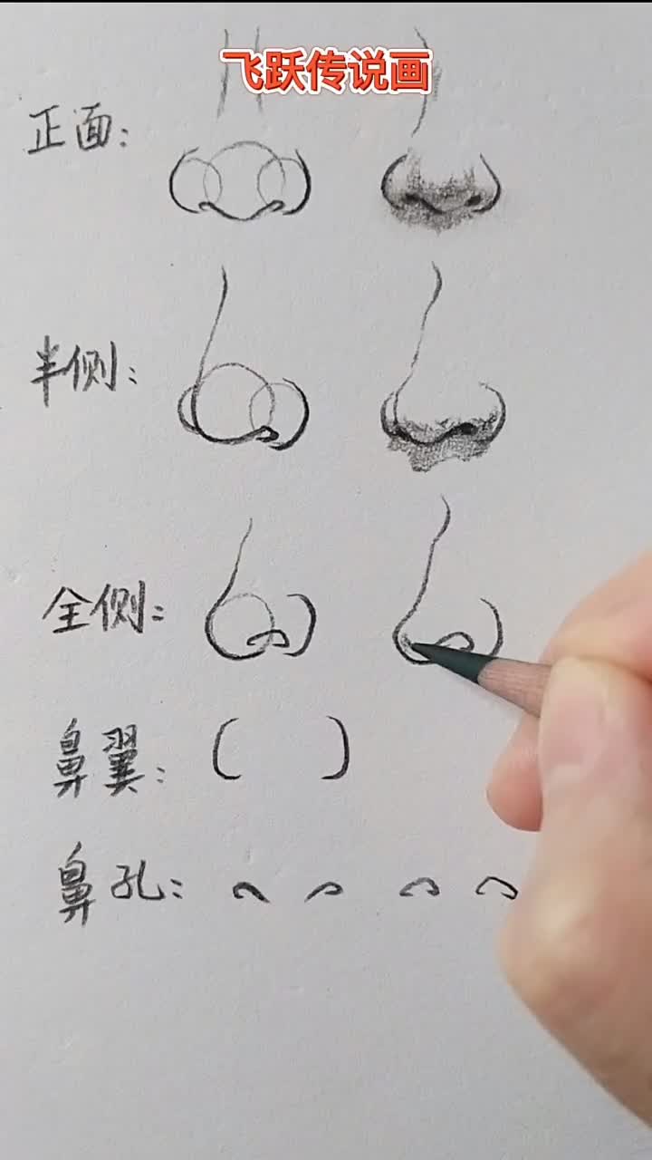 画鼻子的方法图片