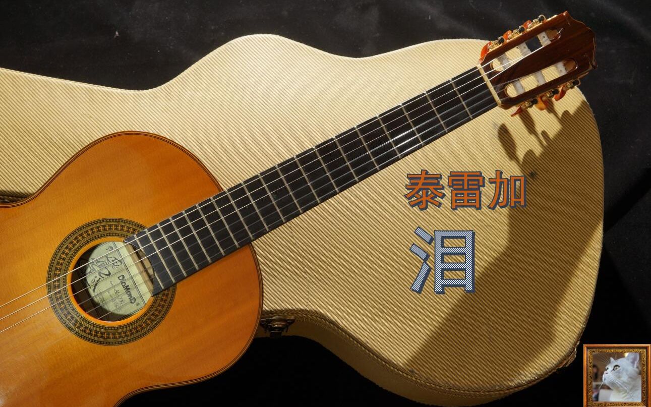 『古典吉他』泪 泰雷加