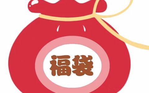 全透明发簪福袋 付邮送