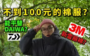 Download Video: 100元买到3M新雪丽棉服？平替Daiwa pier39？