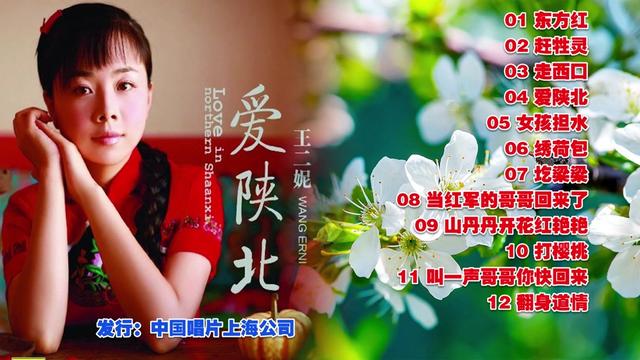 王二妮-爱陕北