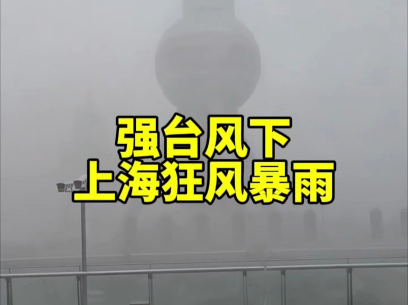 吹坏玻璃!强台风贝碧嘉登陆上海现场视频合集【9.16日】哔哩哔哩bilibili