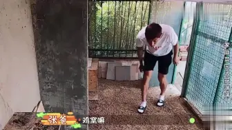 Tải video: 张继科超爱盆妹合集，一回家就抱着盆妹用青岛话逗它，爸妈都吃醋