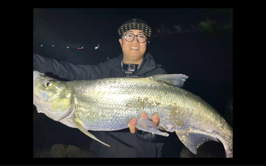 米级翘嘴上岸过程