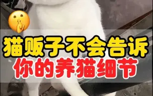 Download Video: 猫贩子不会告诉你的养猫细节