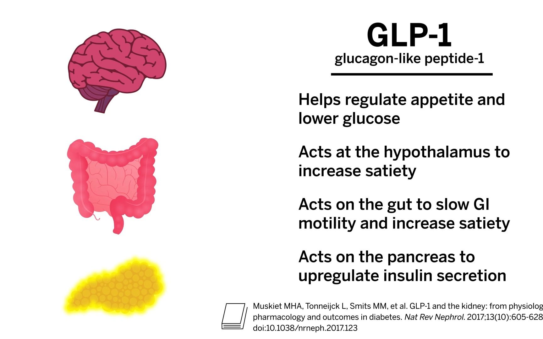 glp-1 受体激动剂在减肥中的作用role of glp-1