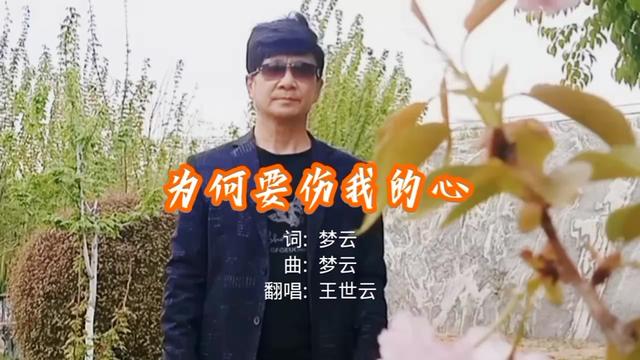 [图]50后户外唱歌【为何要伤我的心】完整版