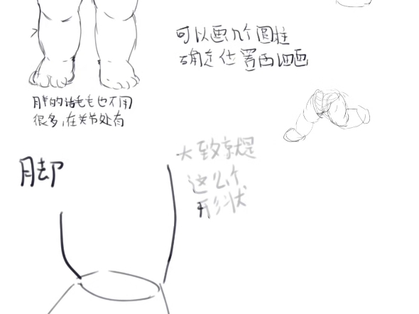 胖兽人画腿脚教程,字体致歉,有问题评论区留言-梦魇130-默认收藏夹
