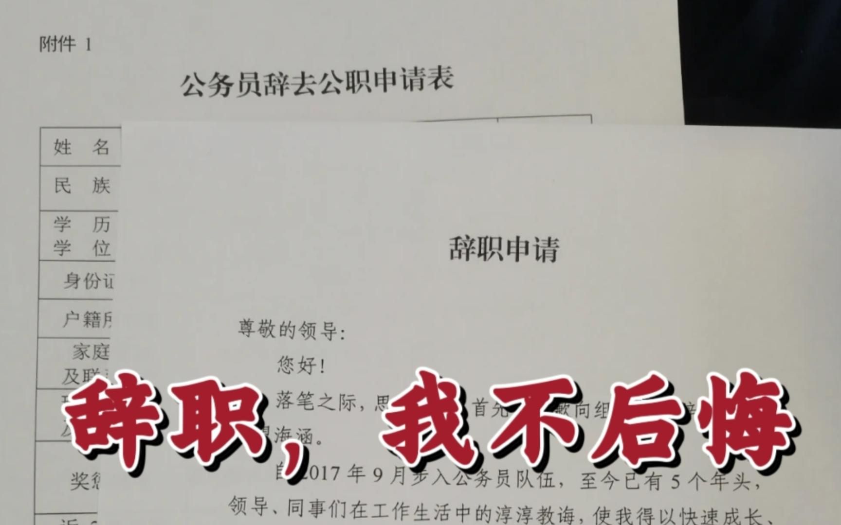 从事业单位辞职真的会后悔吗?我偏不这样认为....哔哩哔哩bilibili