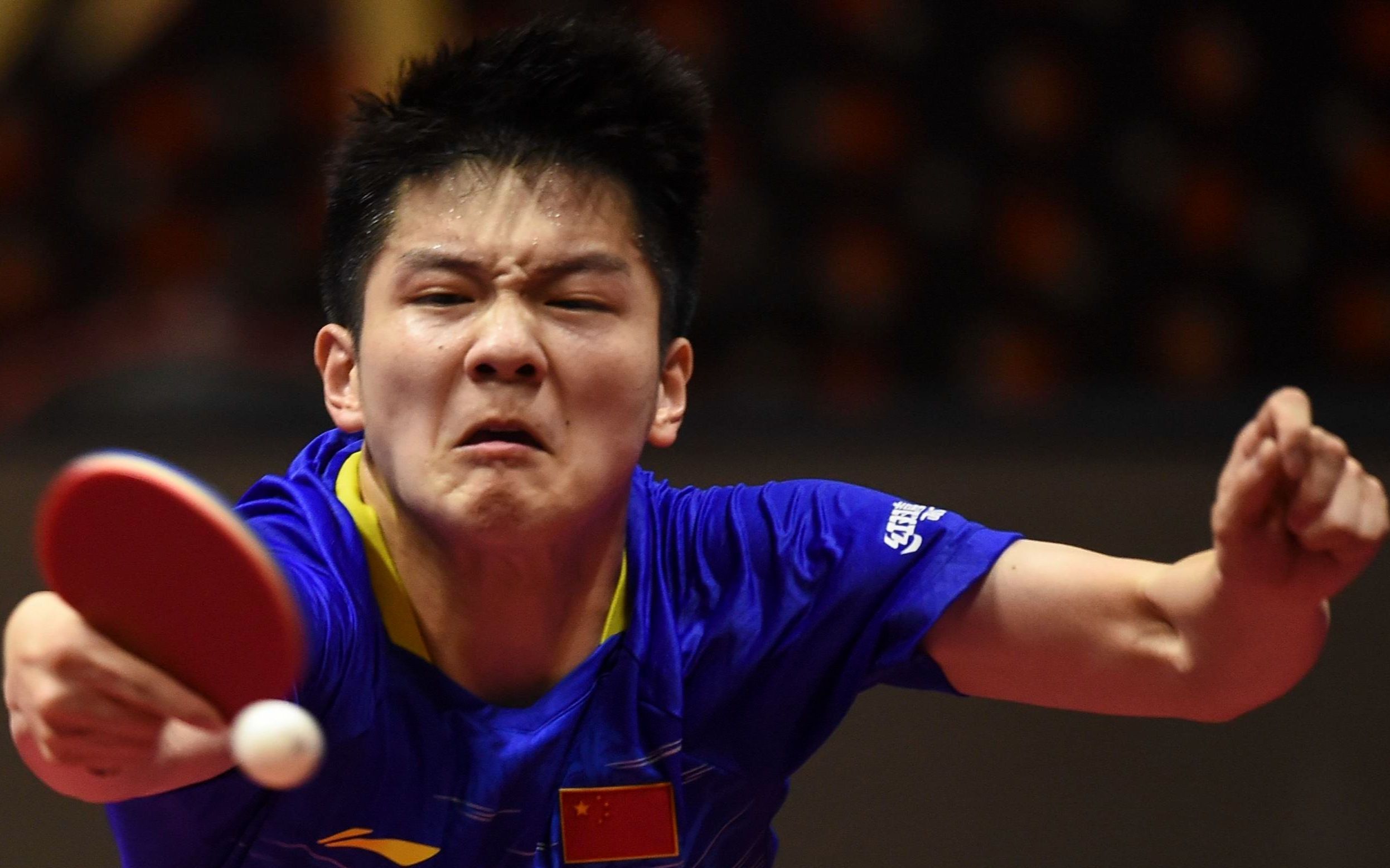 【樊振东】有一种反手叫樊手