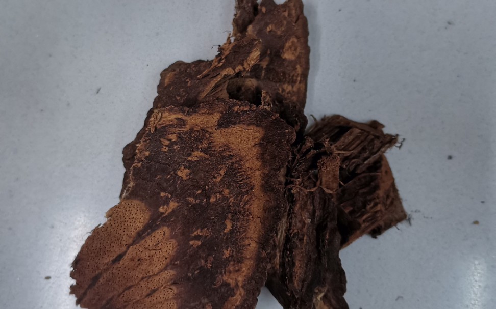 大叶羊蹄甲和止血藤