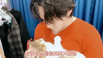 Download Video: 【尹正】在外撸猫的尹正和失宠的马也：今日也是心碎的猛男马也。