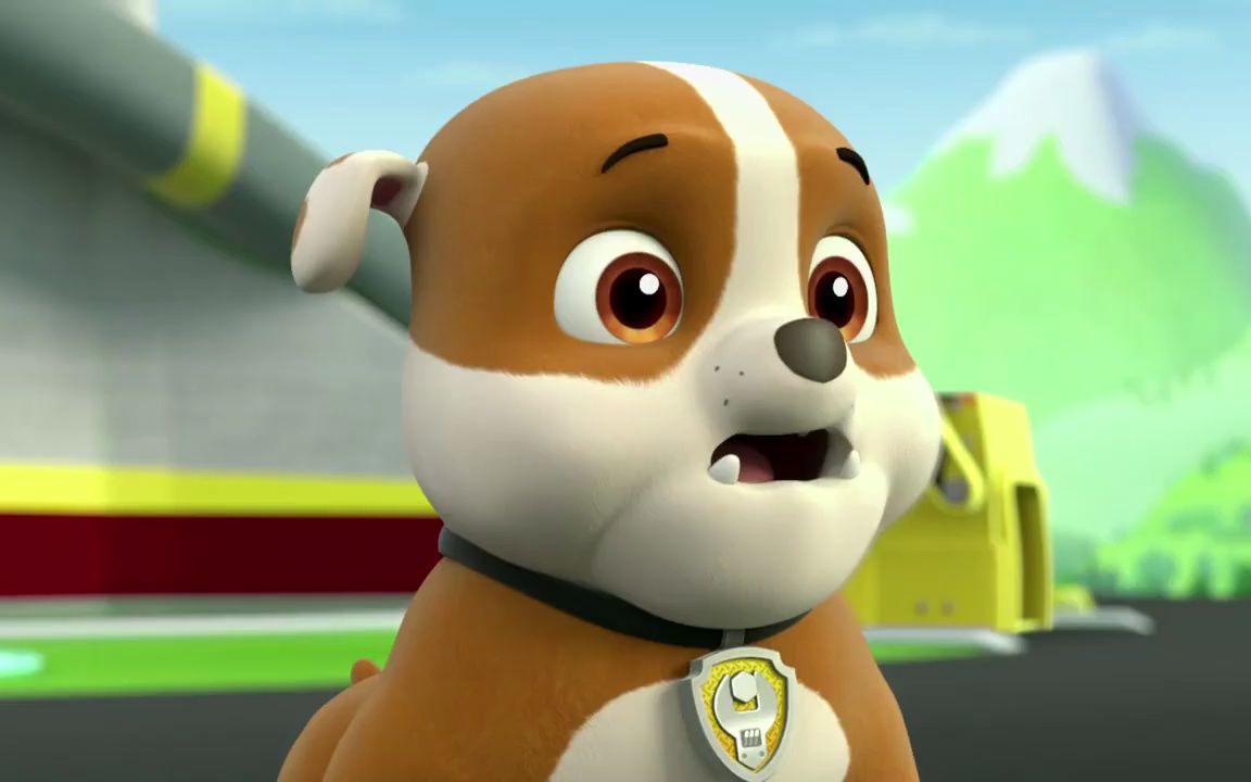 汪汪队:为得到消防犬冠军,毛毛拼命训练,都已经练一周了