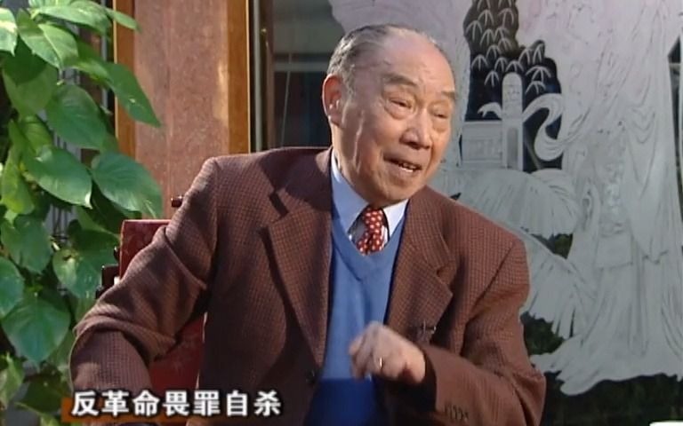 我的评弹人生杨振言下