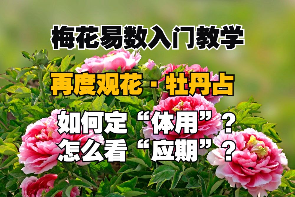 梅花易数入门教学第二集丨牡丹占:体用、应期知识点在本视频中哔哩哔哩bilibili