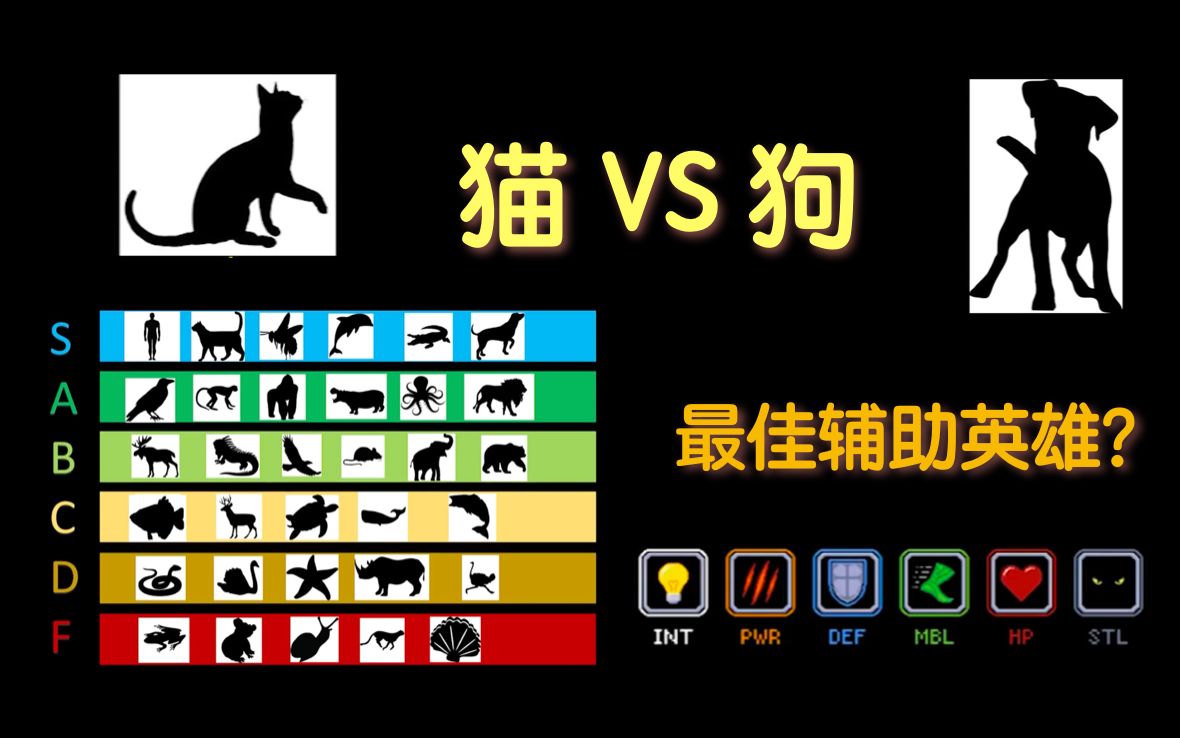 [油管TierZoo] 猫VS狗谁才是最佳辅助英雄?哔哩哔哩bilibili