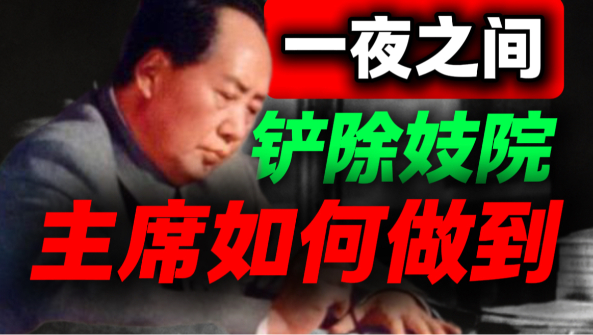 一夜铲除224家妓院，背后远比你想象的复杂，国人必须了解｜第81期｜毛选解读｜毛选思维｜伟人思想