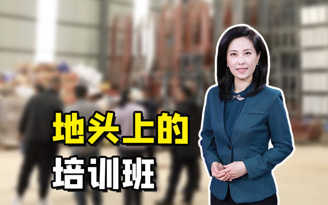 聚焦三农丨地头上的培训班