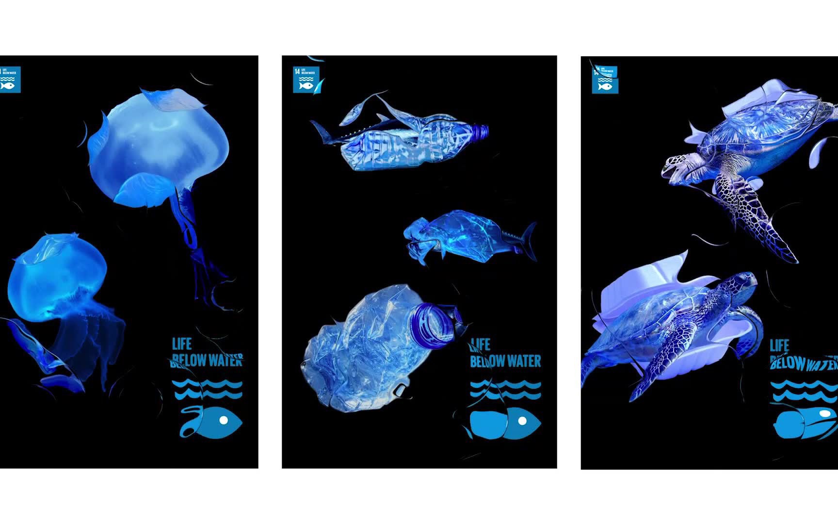 水下生物海报图片