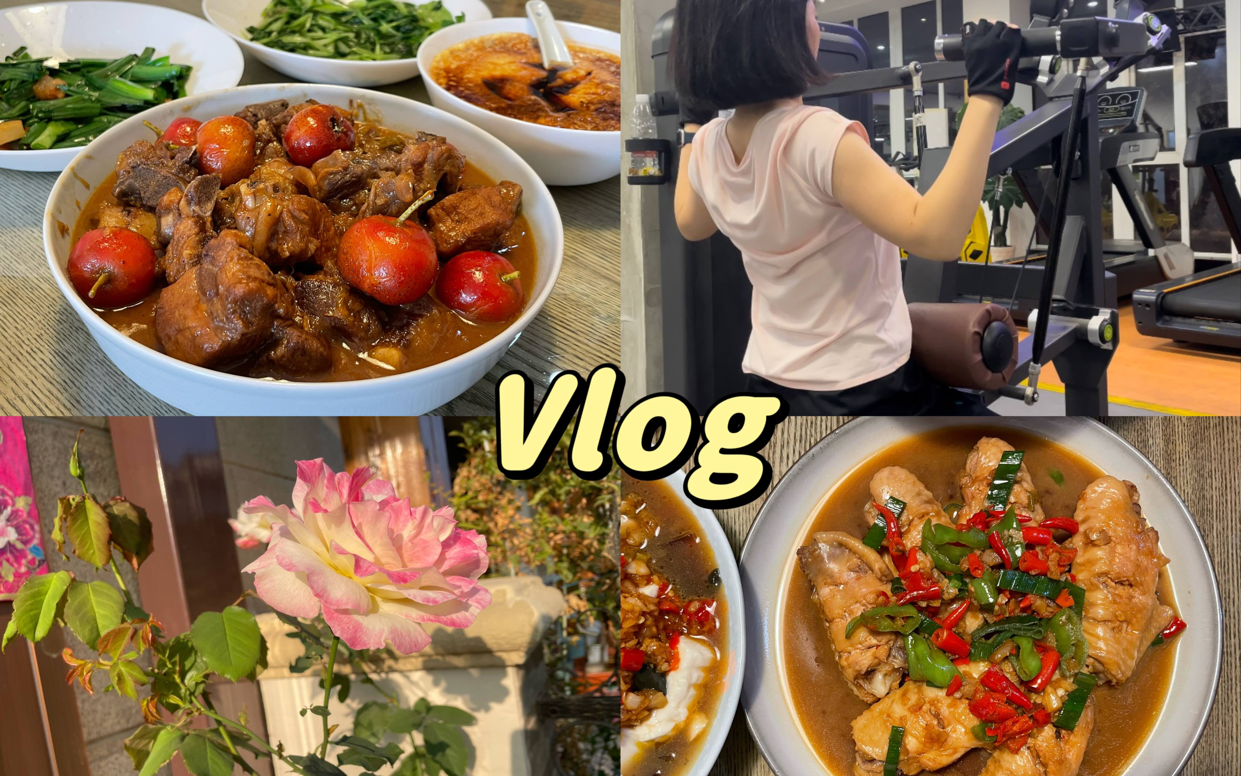 VLOG • 在小县城的真实生活分享|平凡普通的日常|一日三餐的饮食记录|10月消费总结|锻炼健身|极简生活|流水账记录哔哩哔哩bilibili