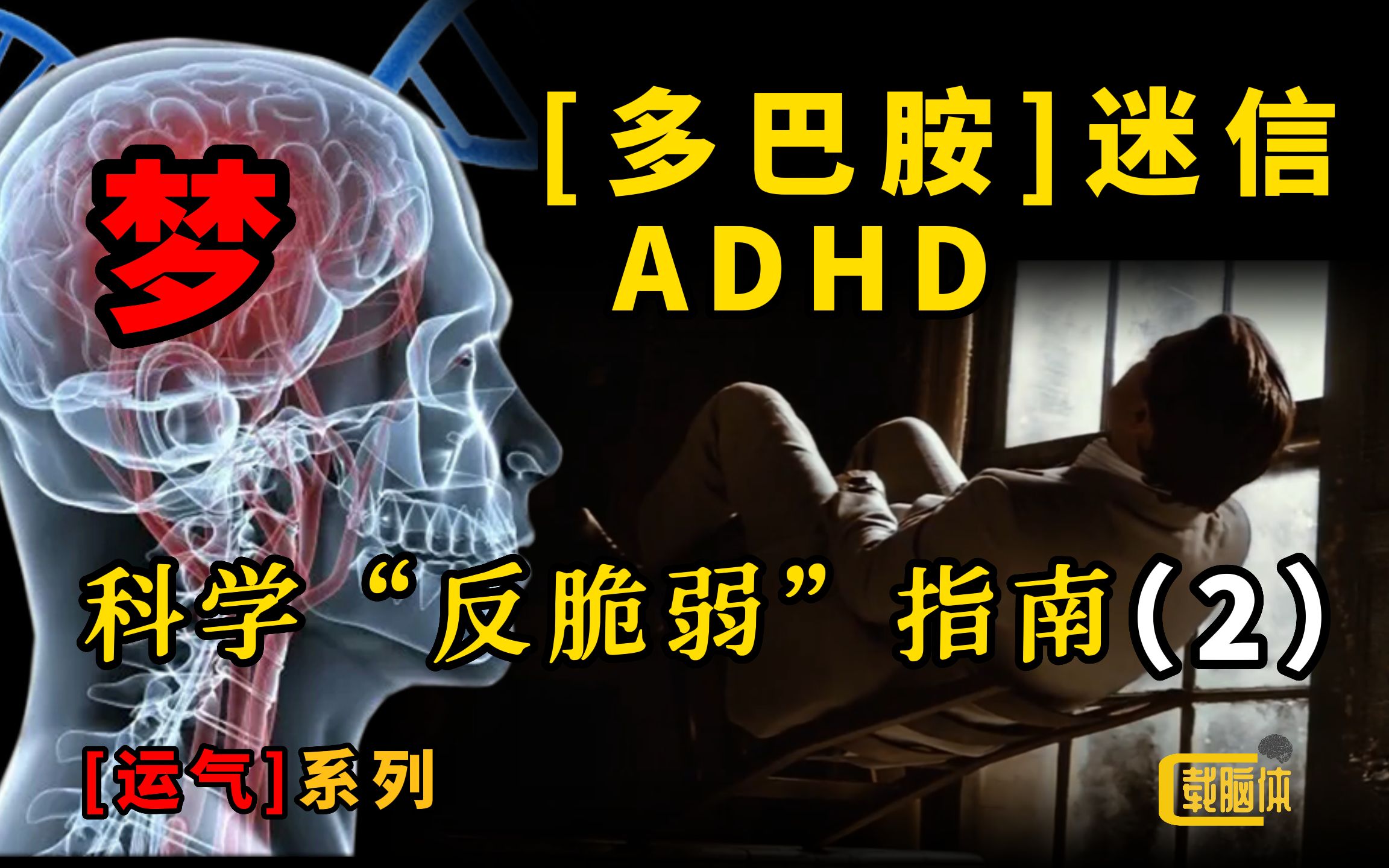 [图]拖更一月！为什么我们无法控制自己？潜意识与命运？心流-ADHD与猎人基因？多巴胺“迷信”？从脑科学深度剖析随机性、黑天鹅与反脆弱【载脑体】2期