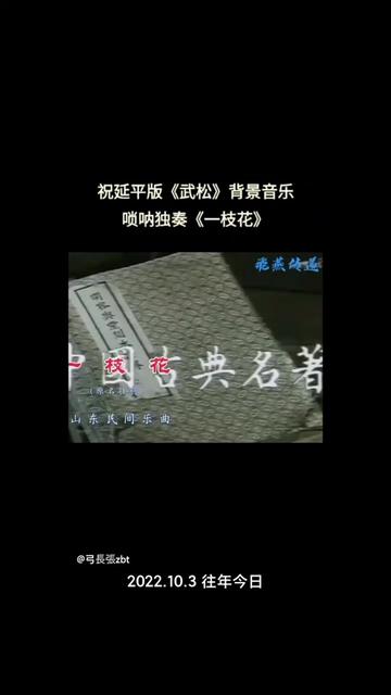 《一枝梅》改编于山东民间乐曲《壮别》哔哩哔哩bilibili