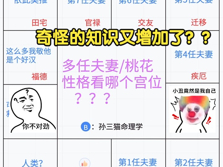 【孙三猫小课堂003】多个夫妻/桃花看哪一宫???哔哩哔哩bilibili